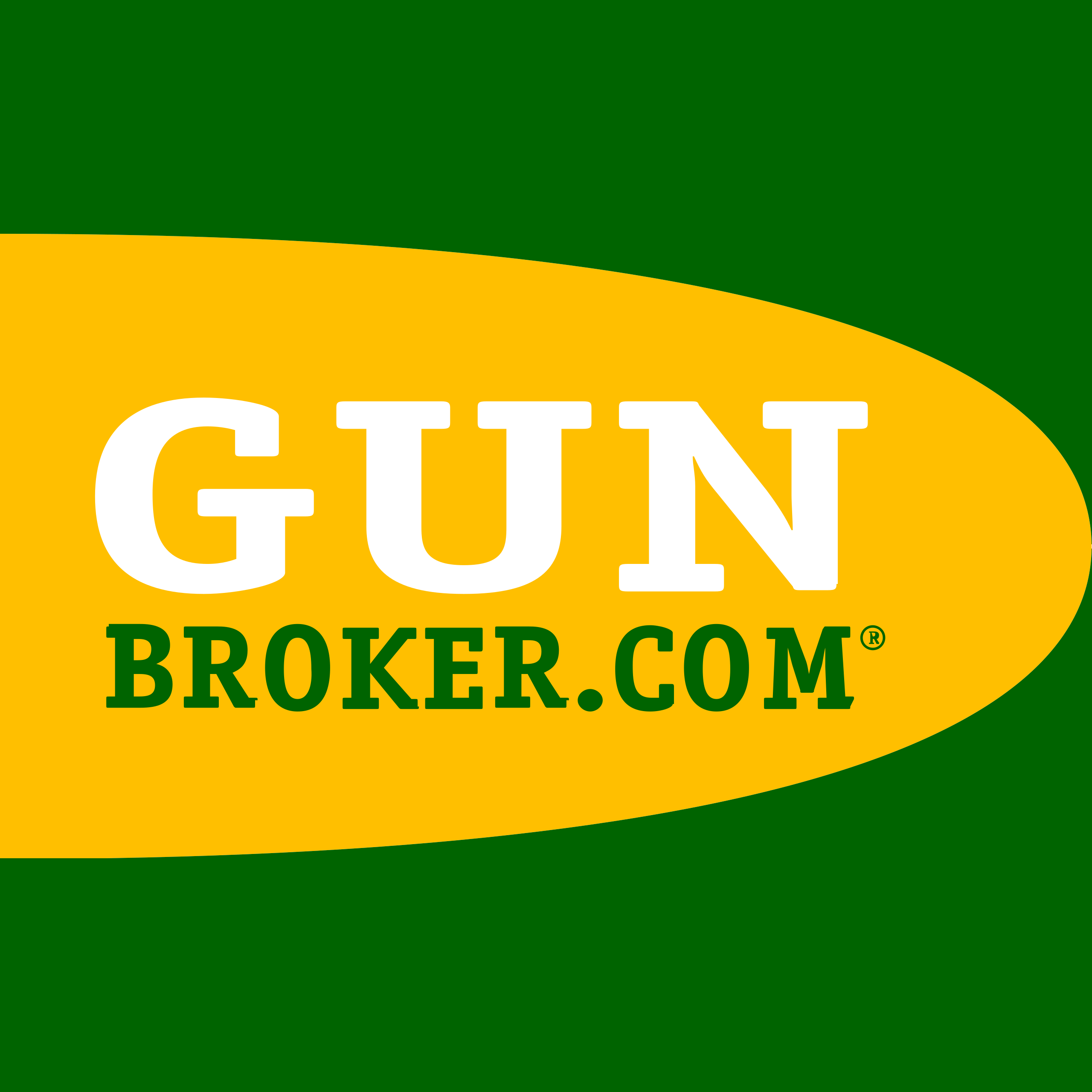 GunBroker logo